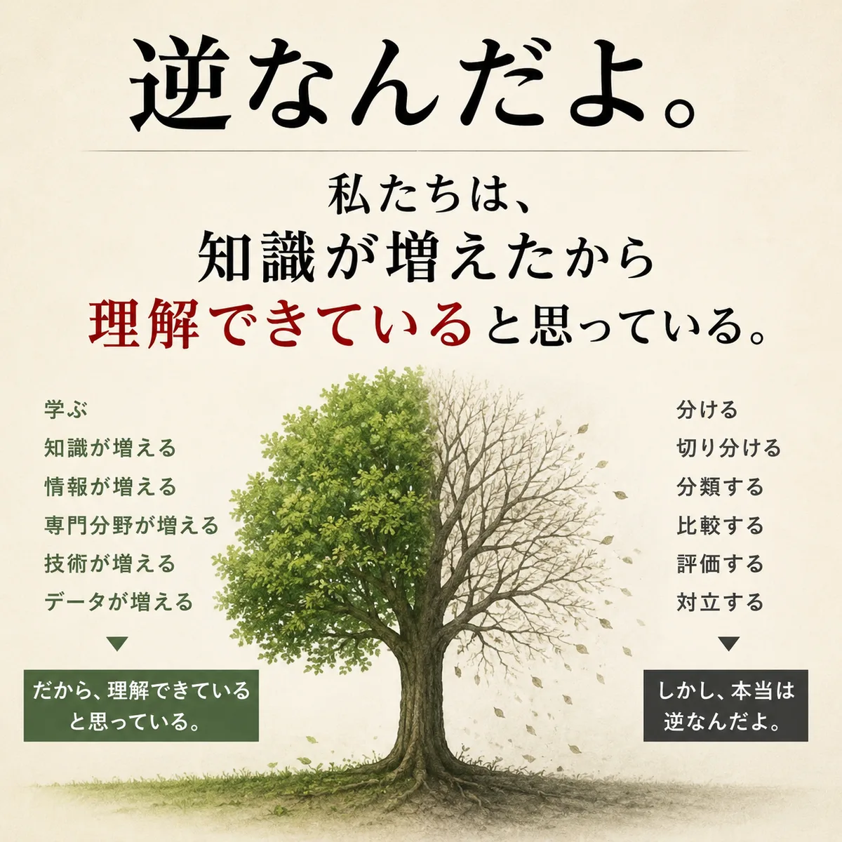 歴史