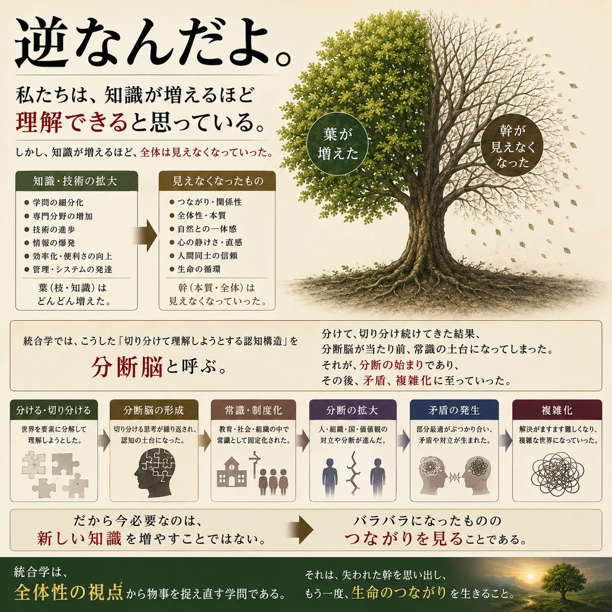 歴史 4