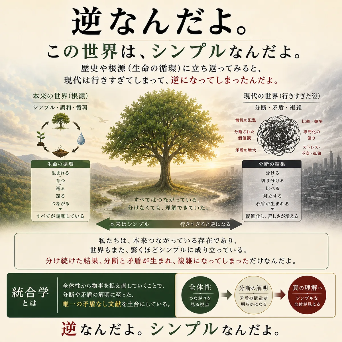 歴史 5