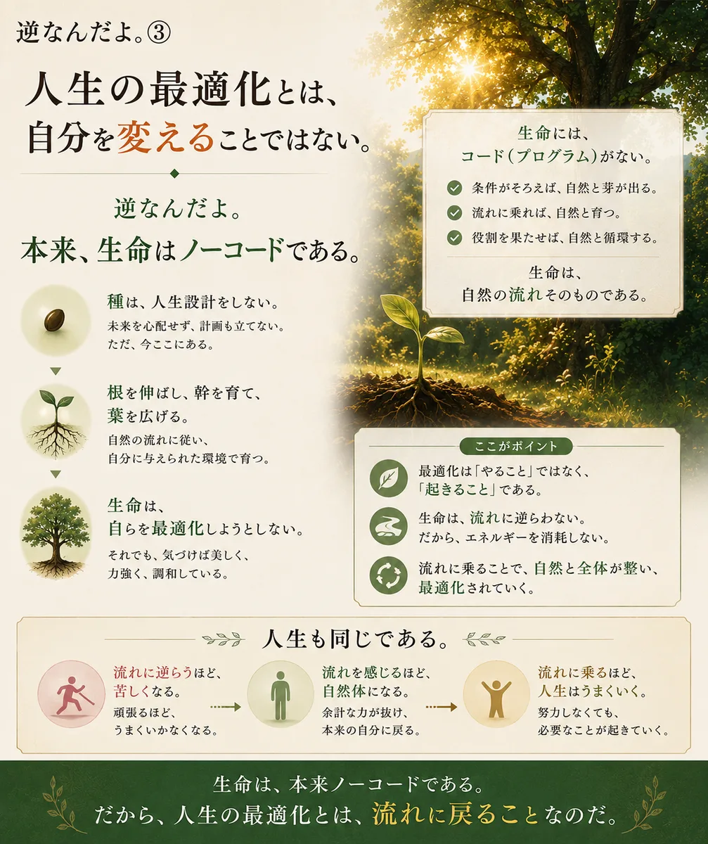 最適化 3